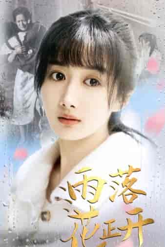 雨落花正开（62集）-初遇资源网