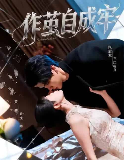 作茧自成牢（52集全）梦龙＆黄薇-初遇资源网