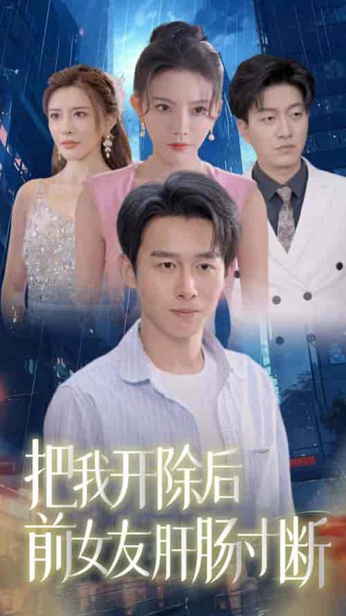 把我开除后前女友肝肠寸断（80集全）严浩-初遇资源网