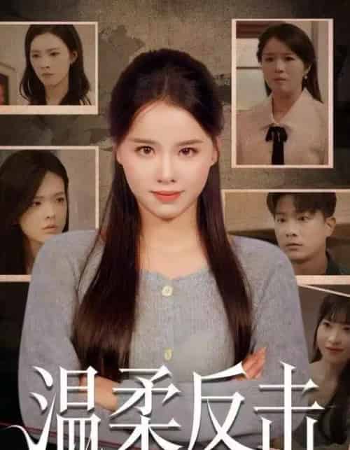 温柔反击(66集全)杨懋昕&童霖-初遇资源网