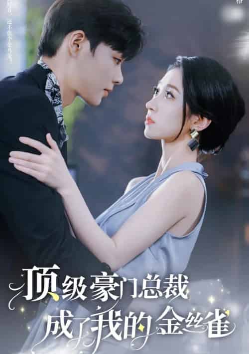顶级豪门总裁成了我的金丝雀（85集全）王格格 5个吻-初遇资源网