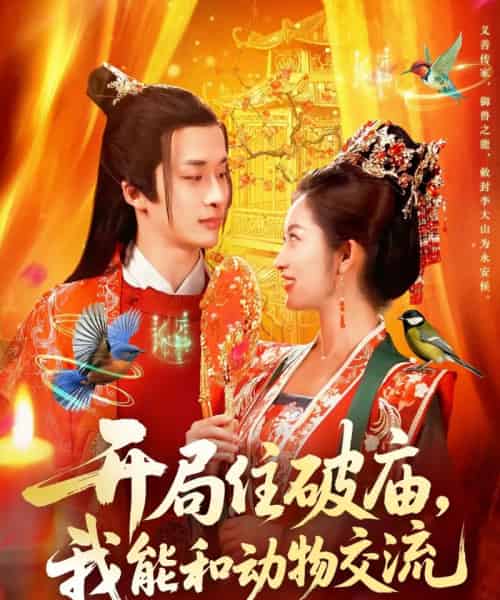 开局住破庙，我能和动物交流（95集全）王泊渊＆崔馨心-初遇资源网