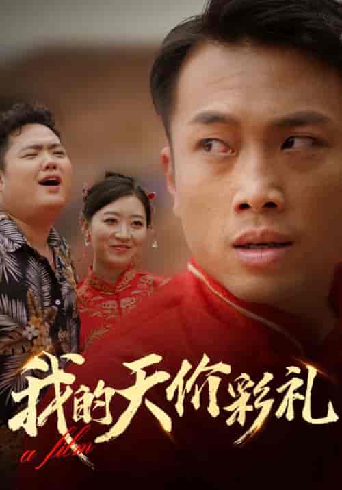 我的天价彩礼（45集全）赵辰阳＆唐梦茹-初遇资源网