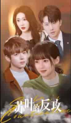 苏叶的反攻（97集）-初遇资源网
