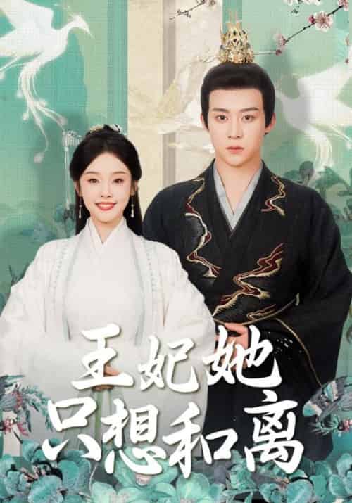 王妃她只想和离（91集全）东方璃＆秦星月 - 初遇资源网