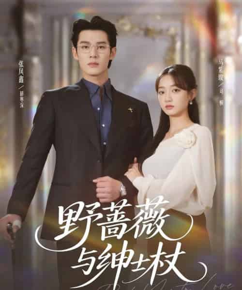 野蔷薇与绅士杖（78集全）张凤鑫＆马紫璇-初遇资源网