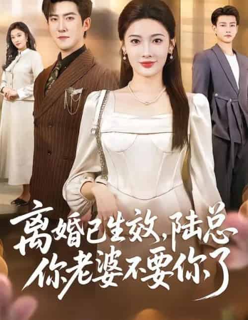 离婚已生效,陆总你老婆不要你了(61集全)赵阿东&沈玥妡-初遇资源网