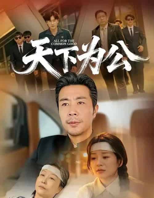 天下为公(58集全)苗峰&李梦娜-初遇资源网