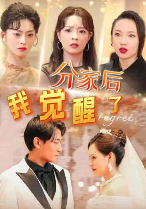 分家后,我觉醒了(63集全)萧凡&苏玉颜-初遇资源网