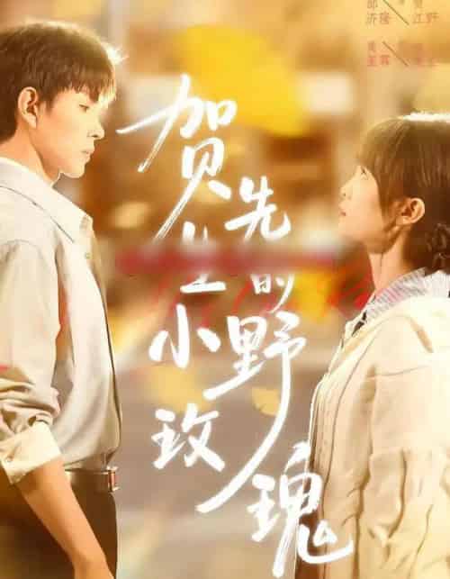 贺先生的小野玫瑰（99集全）黄玺霖＆邹济隆-初遇资源网