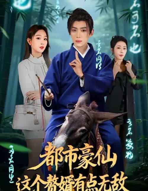 都市豪仙，这个赘婿有点无敌（84集全）刘檀嘉＆彭千玲-初遇资源网