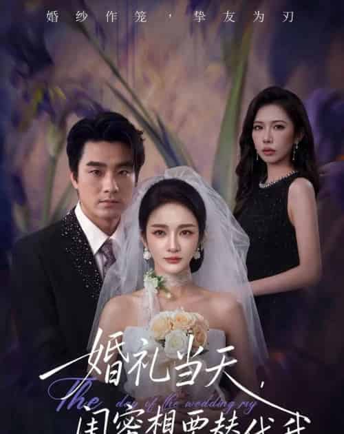 婚礼当天,闺蜜想要替代我 婚礼当天,闺蜜想要替代我