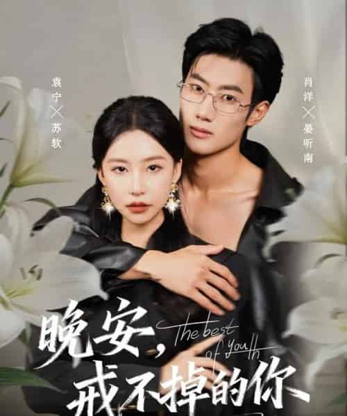 晚安，戒不掉的你（68集全）袁宁＆肖洋-初遇资源网