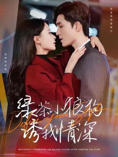 绿茶小狼狗诱我情深（101集全）梁思伟＆孟娜-初遇资源网