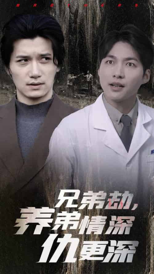 兄弟劫养弟情深仇更深（28集全）-初遇资源网