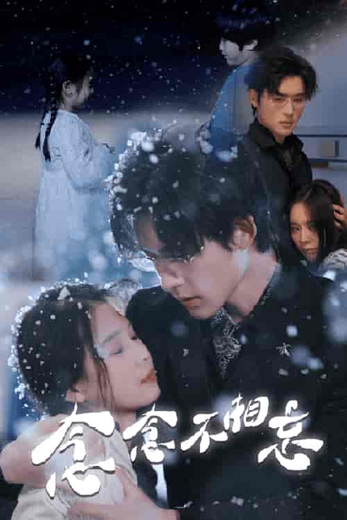 念念不相忘(60集)-初遇资源网