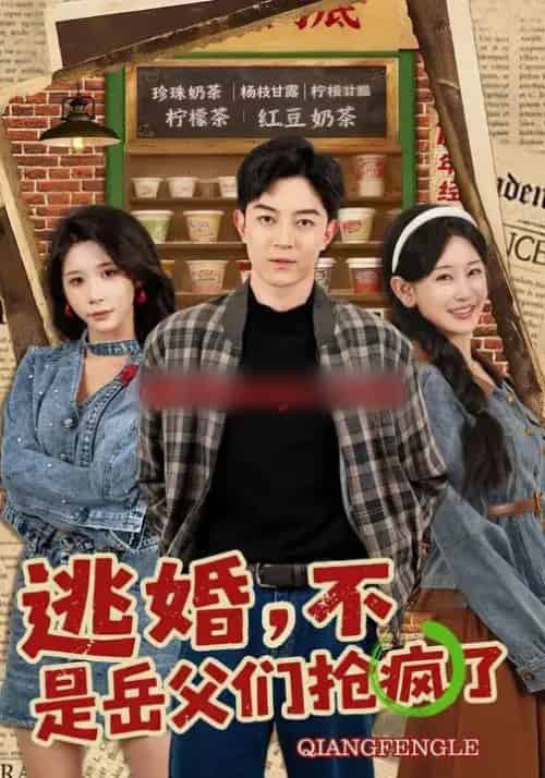 逃婚，不，是岳父们抢疯了（80集全）王艺鑫＆贺龙天-初遇资源网