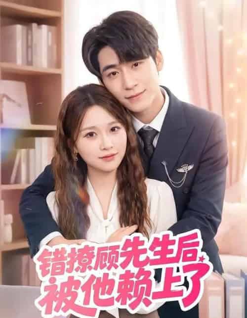 错撩顾先生后被他赖上了(54集全)吴恋融&司俊楠-初遇资源网