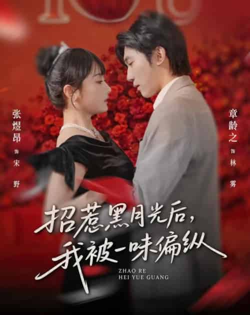 招惹黑月光后，我被一味偏纵（80集全）张煜昂＆章龄之-初遇资源网