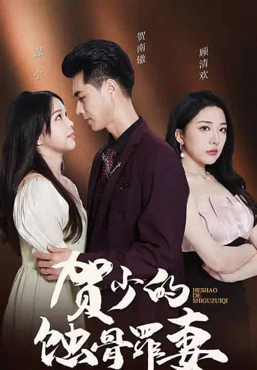 贺总裁夫人好绝情（101集全）-初遇资源网