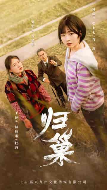 归巢（80集）-初遇资源网