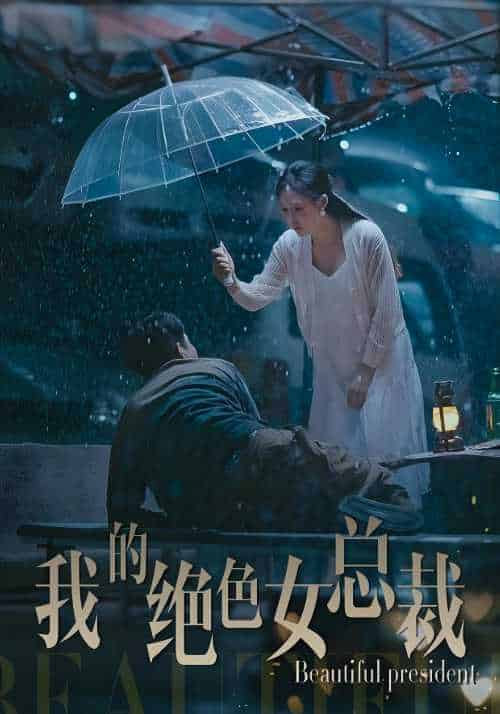 我的绝色女总裁(90集全)叶凡&苏清雅-初遇资源网