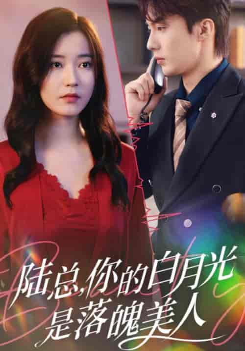 陆总，你的白月光是落魄美人（39集全）陆廷叶＆夏彤-初遇资源网