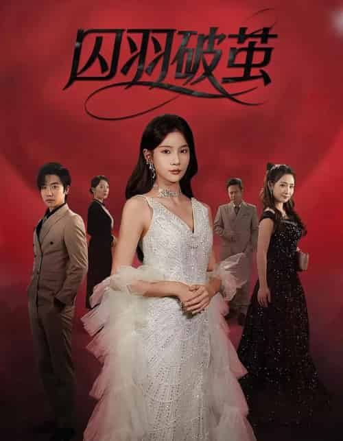 囚羽破茧（52集）-初遇资源网