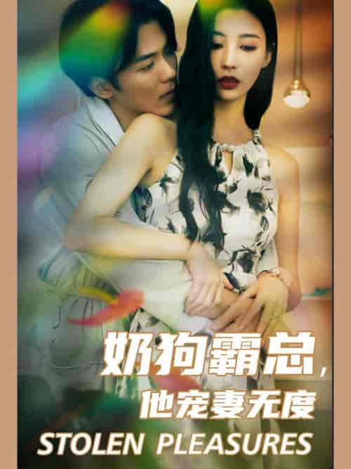 奶狗霸总，他宠妻无度（70集全）-初遇资源网