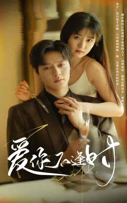 爱你不逢时(91集)翟一莹-初遇资源网
