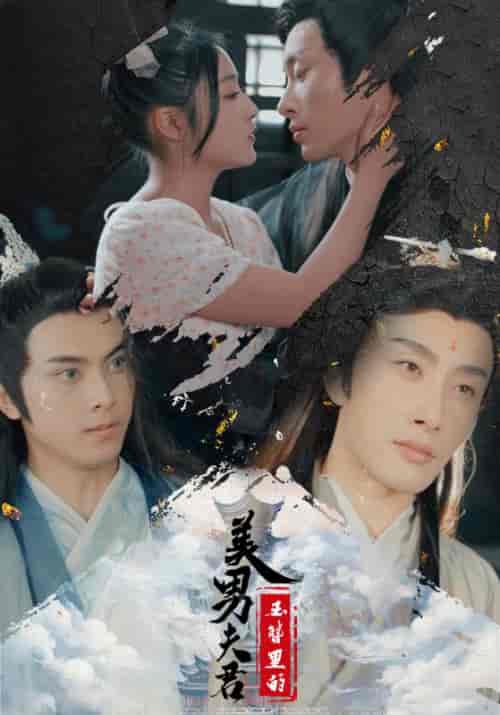 玉簪里的美男夫君(100集)-初遇资源网