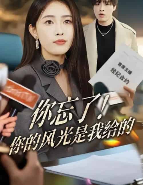 你忘了！你的风光是我给的（51集全）刘星辰＆大志-初遇资源网