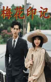梅花印记（48集）-初遇资源网