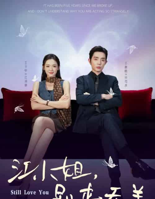 江小姐,别来无恙&分手五年,宋先生别纠缠(92集全)王晨鹏&王子甲-初遇资源网