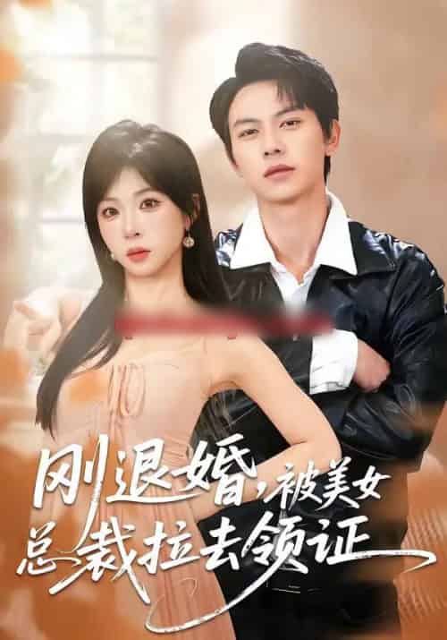 刚退婚，被美女总裁拉去领证（81集全）胡耀＆李沐汐-初遇资源网