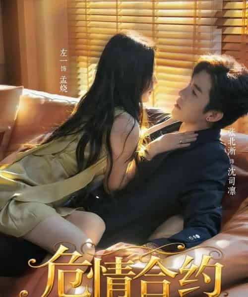 危情合约（76集全）张北淅＆左一-初遇资源网