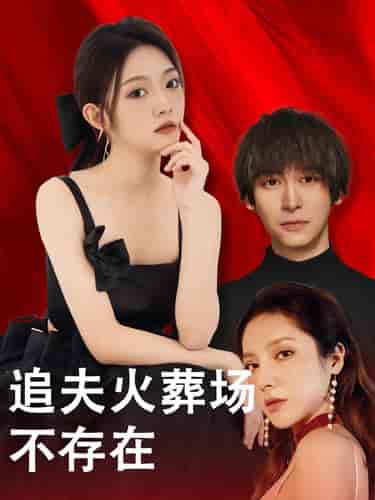 追夫火葬场不存在(100集)-初遇资源网