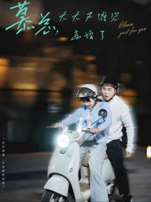 慕总太太又催您离婚了(80集全)李可乐&象韵洁-初遇资源网