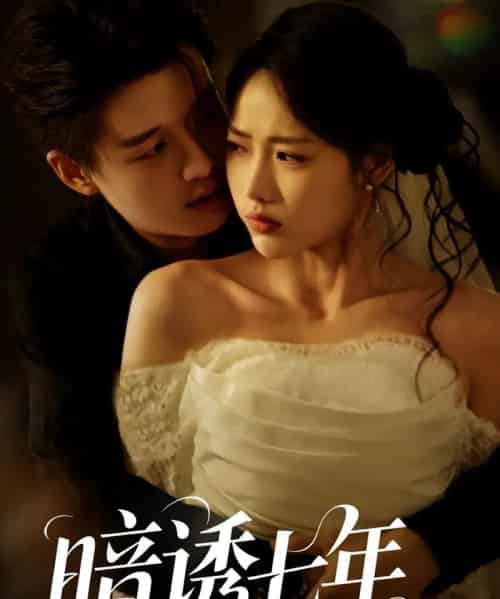 暗诱七年（85集）-初遇资源网