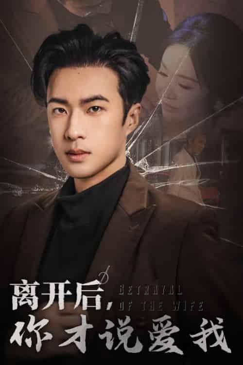 离开后你才说爱我＆心如枯木难逢春（30集）孔奇力-初遇资源网