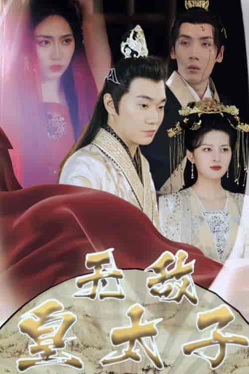 无敌皇太子-初遇资源网