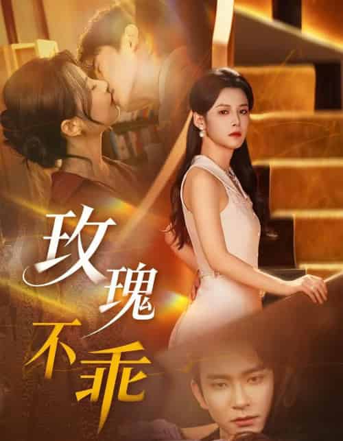 玫瑰不乖（69集全）王已歌＆谭雯文-初遇资源网