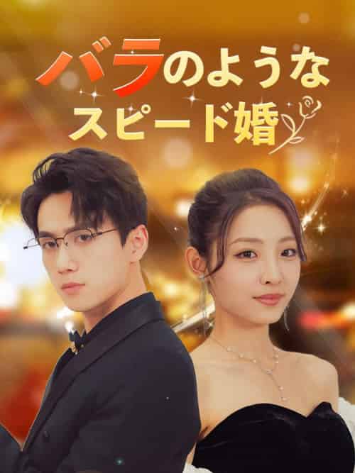 バラのようなスピード婚(日本語吹替版)(106集全)傳川景衡&青葉夢子-初遇资源网