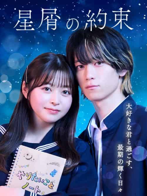 星屑の約束（41集全）-初遇资源网