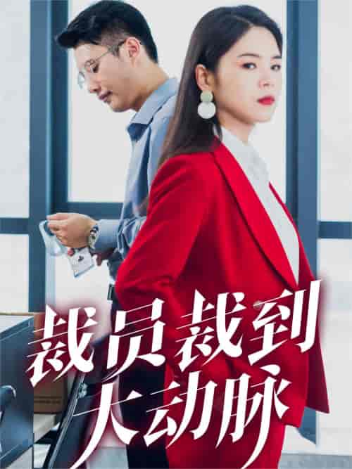 裁员裁到大动脉（34集）刘果果-初遇资源网