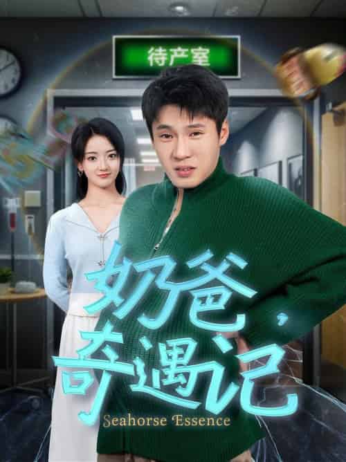 奶爸奇遇记（60集全）刘宇航-初遇资源网