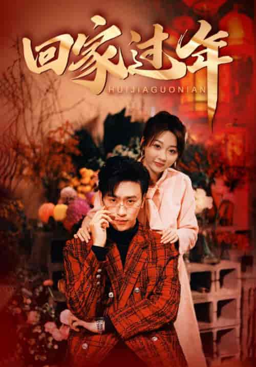 回家过年(74集)-初遇资源网