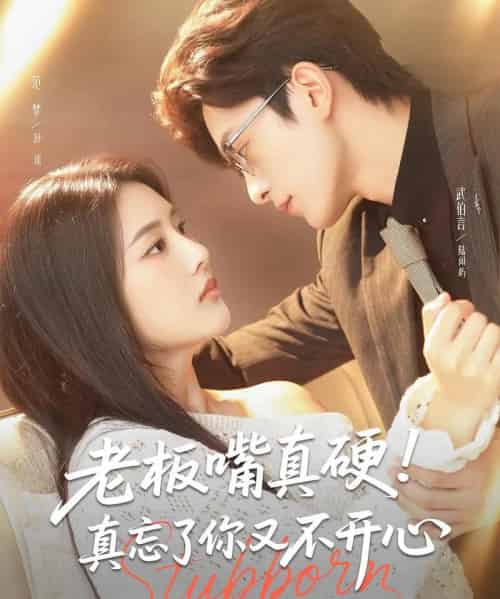 老板嘴真硬真忘了你又不开心(83集)武伯言&范梦-初遇资源网