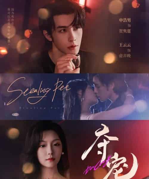 夺宠（88集全）申浩男＆王云云-初遇资源网