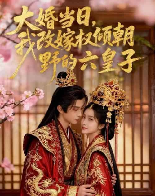 大婚当日，我改嫁权倾朝野的六皇子（30集全）AI - 夸克短剧